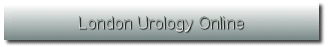 LOndon Urology ONline Prostate Information